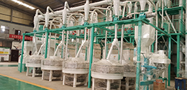 洛陽(yáng)8+2石磨面粉加工設(shè)備